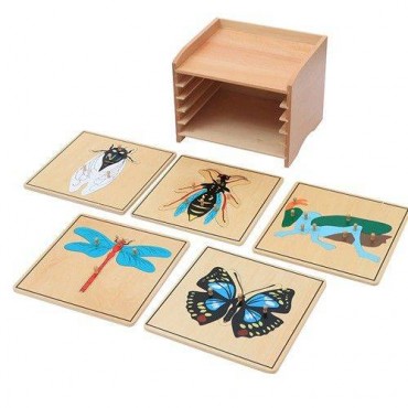 CABINET DE 5 PUZZLES DE ZOOLOGIE(5 puzzles insectes)